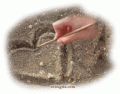 Comments, Graphics - Cool Gifs 